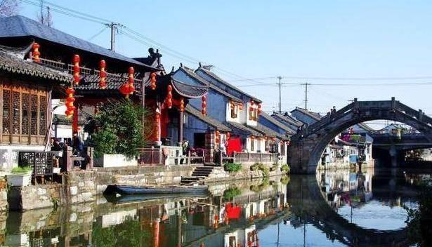 在宠物店拍到的,这猫的马杀鸡技术一看就非常专业!